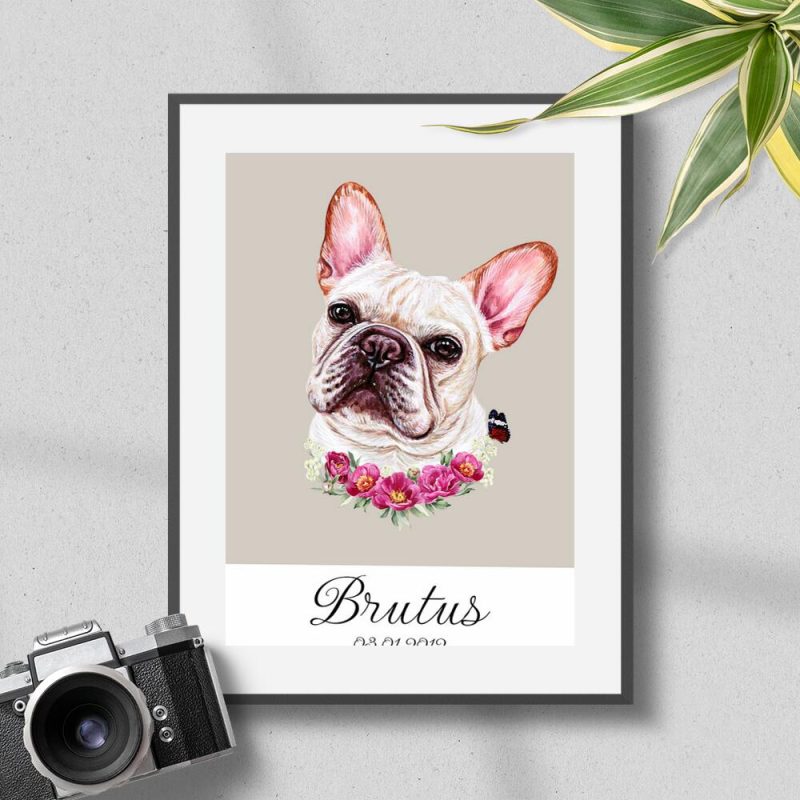 plakat z metryczką dla buldoga francuskiego plakat z metryczką dla buldoga francuskiego