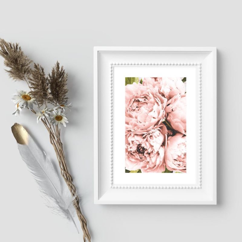 plakaty z ogrodowymi kwiatami plakaty z ogrodowymi kwiatami