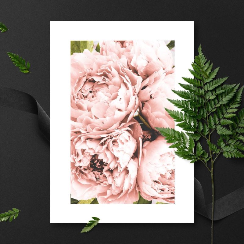 plakaty z piwoniami plakaty z piwoniami